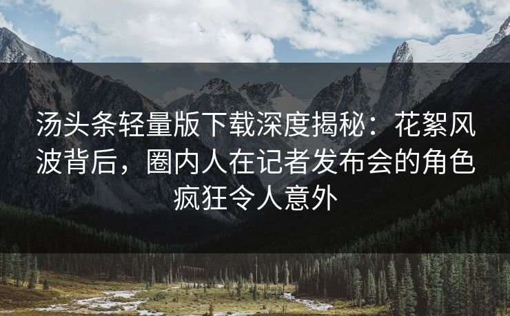 汤头条轻量版下载深度揭秘：花絮风波背后，圈内人在记者发布会的角色疯狂令人意外